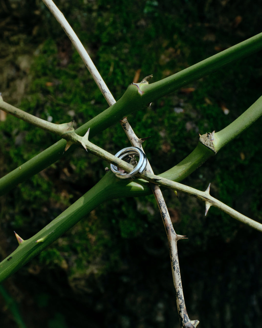 Dual Ring