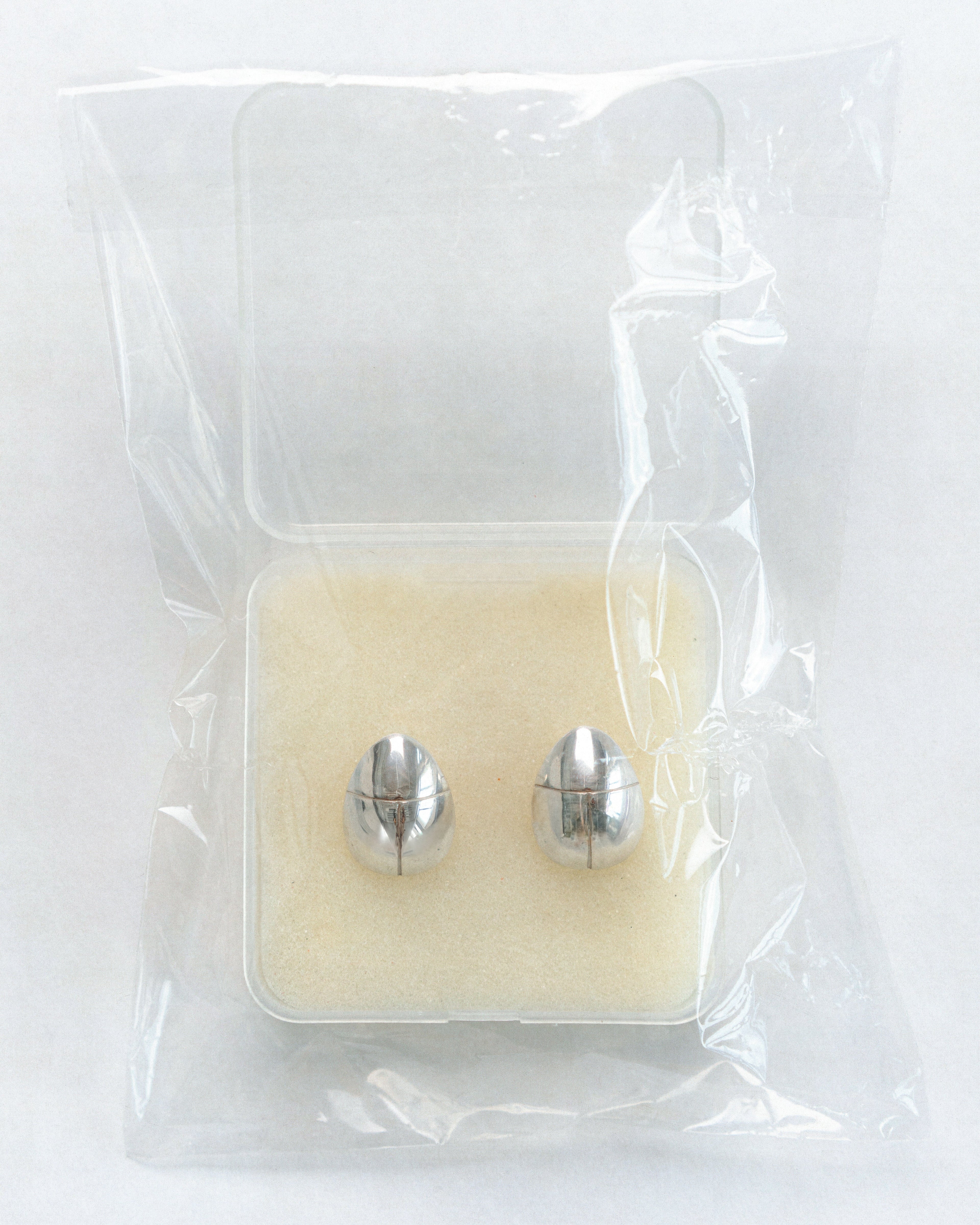 Scarab Earrings